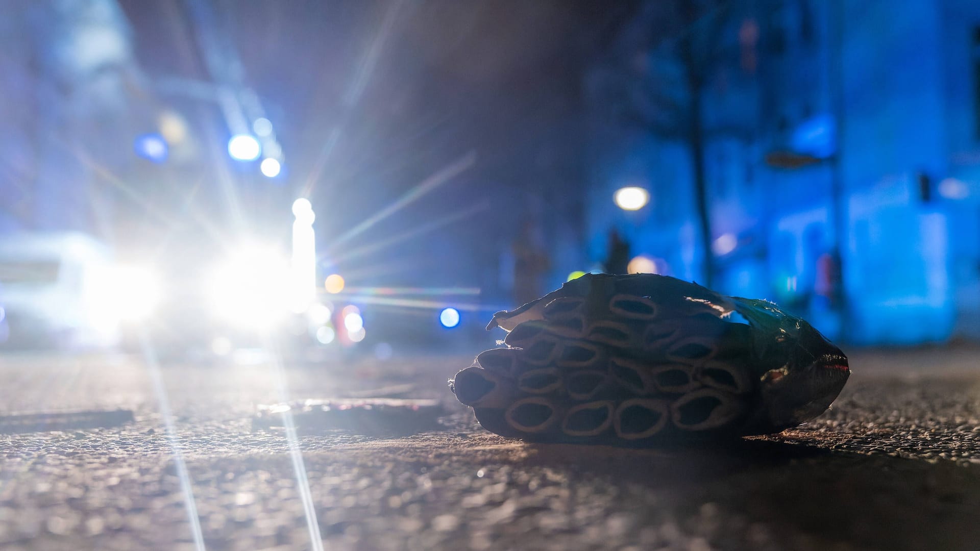 Böllerreste auf dem Boden (Symbolfoto): In einer ersten Meldung war von Angriffen nicht die Rede.