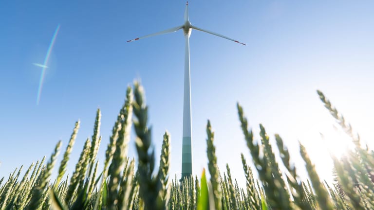 Windkraftanlage an einem Weizenfeld: Mit dem "grünen" Label sollen Finanzinstituten besser einschätzen können, was klimafreundlich ist und was nicht.