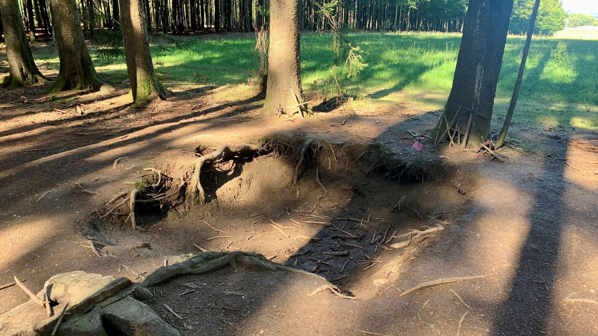 Bois Jacques: Noch heute sind die "Fuchslöcher" zu sehen, die US-Soldaten in den Waldboden kratzten, um Schutz vor den deutschen Angreifern zu finden.