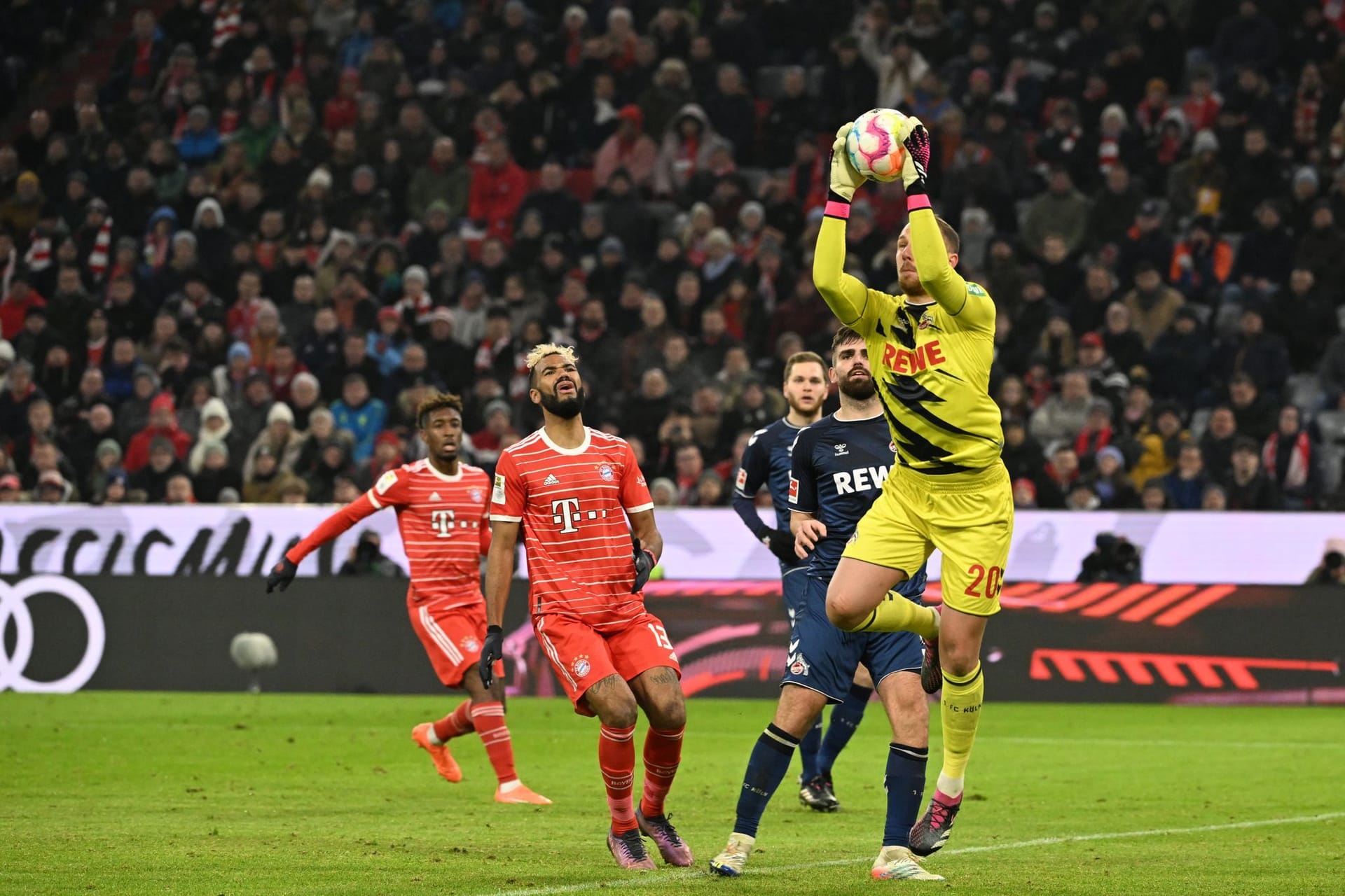 17. Spieltag in der Allianz Arena: Kölns Torhüter Marvin Schwäbe fängt den Ball.