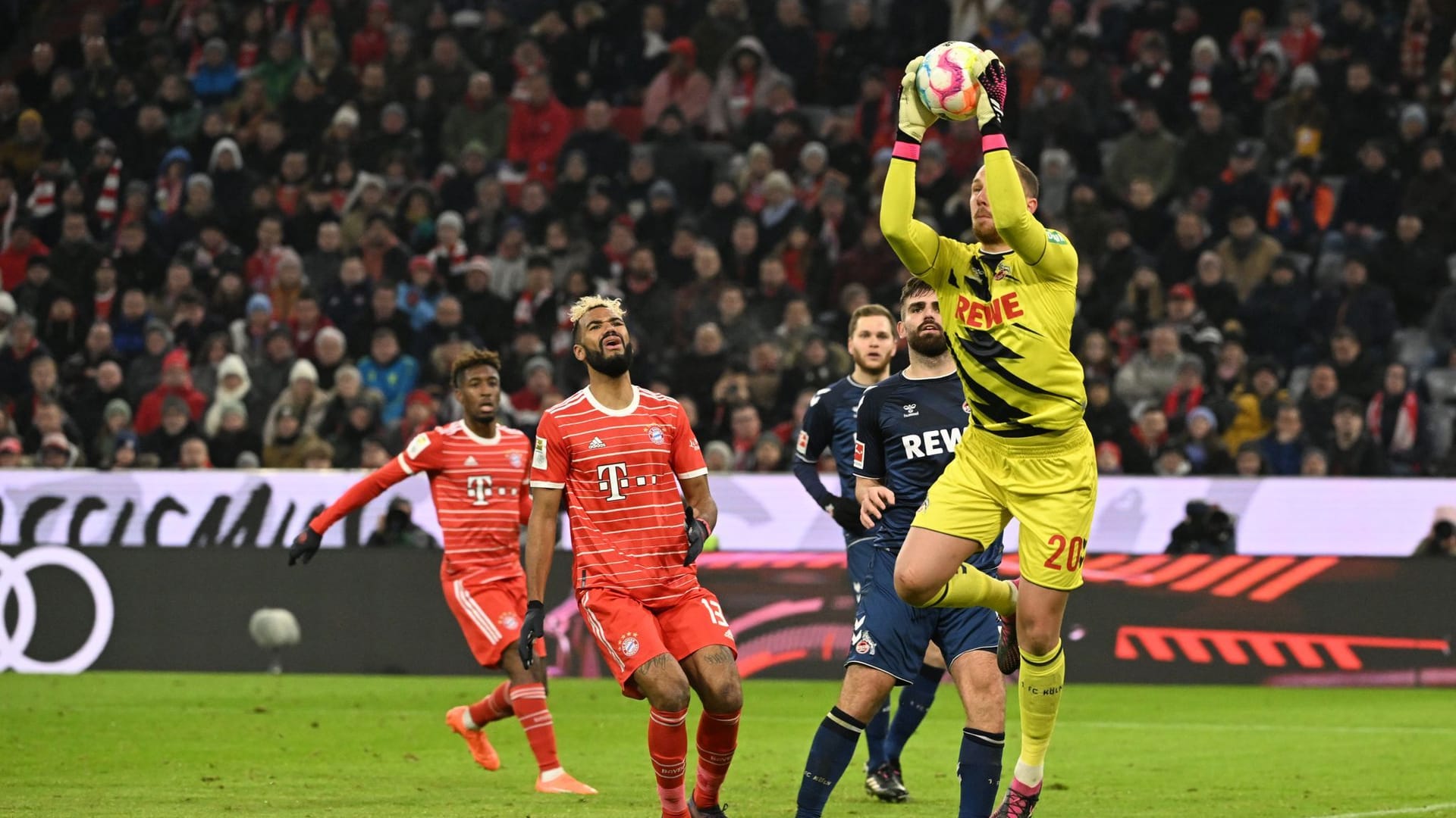 17. Spieltag in der Allianz Arena: Kölns Torhüter Marvin Schwäbe fängt den Ball.