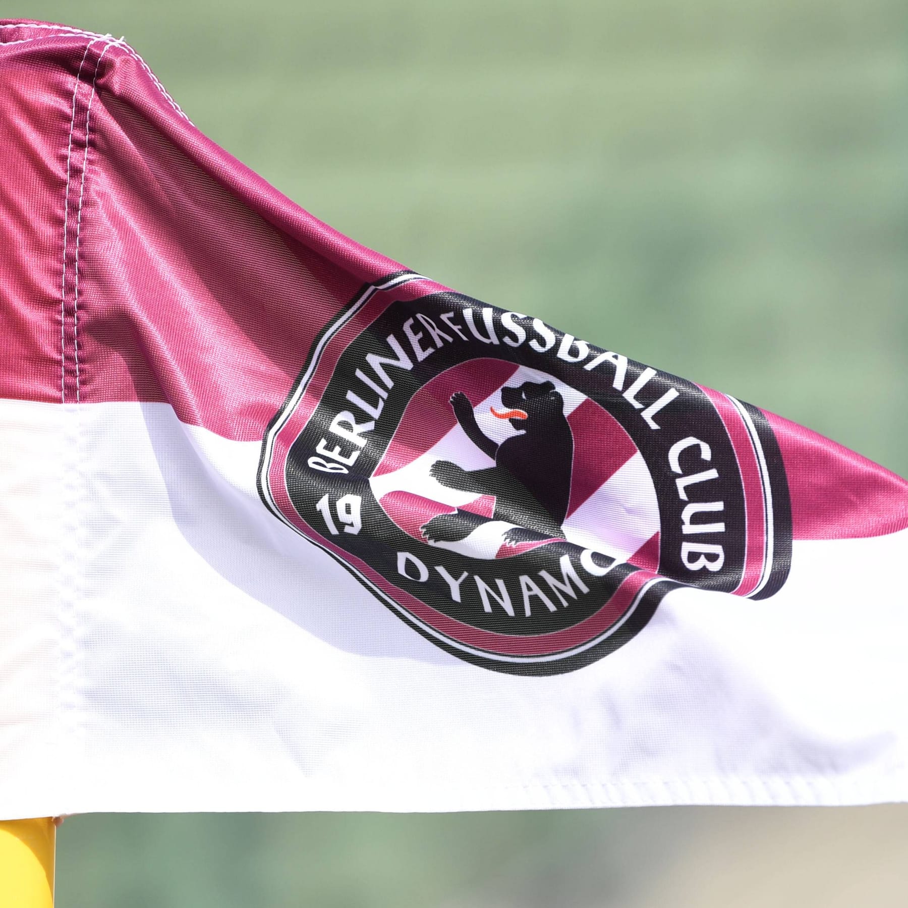 Regionalliga BFC Dynamo kriegt altes Logo zurück