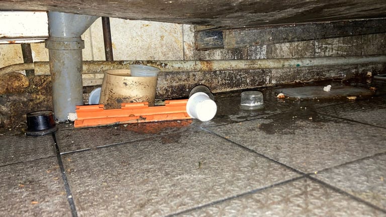 Ein erschreckendes Bild: So sieht es unter einer Spülküche eines Berliner Restaurants aus.