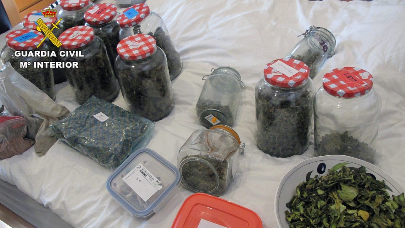 Cannabis und andere Pflanzenteile: Bei der Razzia wurden diverse Rauschmittel beschlagnahmt.