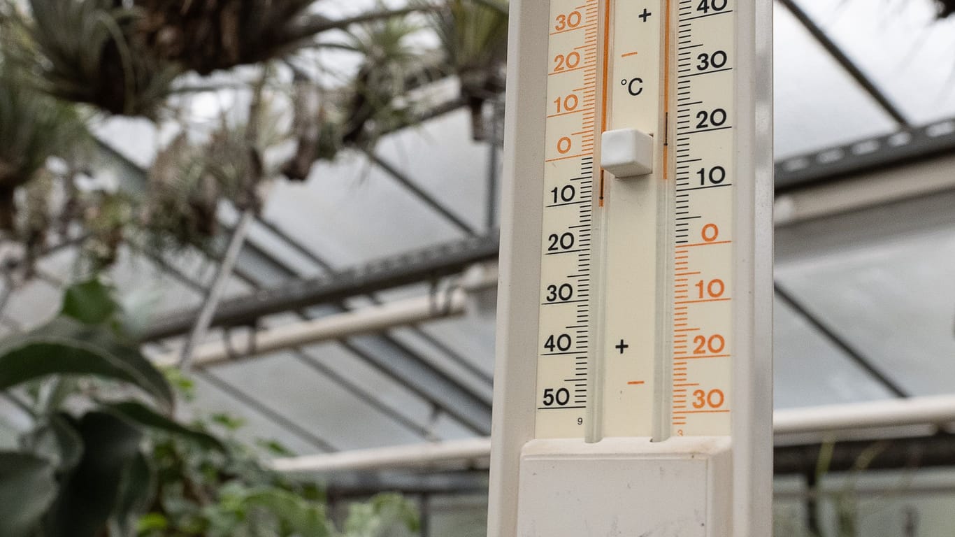 Ein Thermometer hängt im Sukkulentenhaus vom Alten Botanischen Garten der Georg-August-Universität in Göttingen.