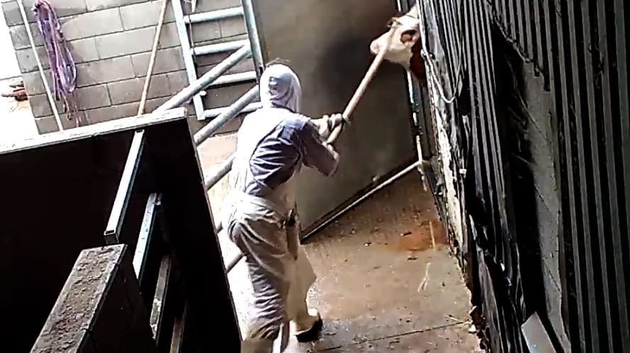 Der Schlachthof in Hürth: Ein Mitarbeiter zieht ein Rind mit einer Mistgabel aus dem Stall. Der Schlachthof in Hürth: Ein Mitarbeiter zieht ein Rind mit einer Mistgabel aus dem Stall.