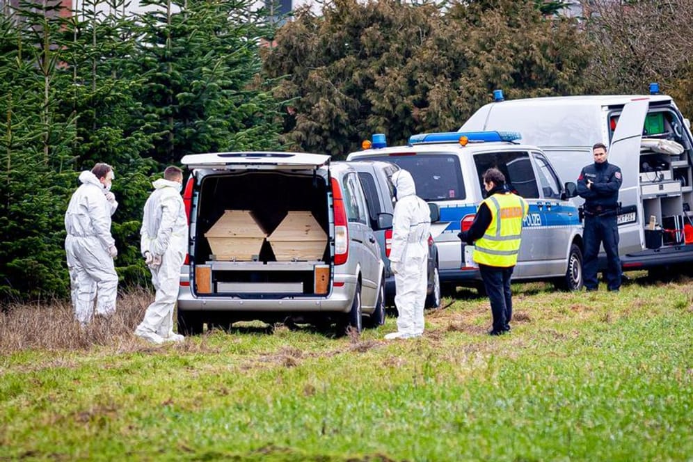 Die Leiche lag in einer Tannenschonung: Mitarbeiter der Spurensicherung der Polizei stehen an einem Leichenwagen.