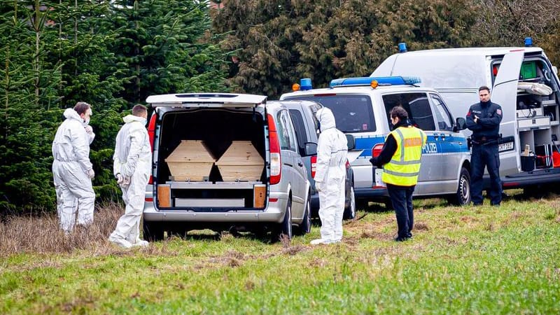 Die Leiche lag in einer Tannenschonung: Mitarbeiter der Spurensicherung der Polizei stehen an einem Leichenwagen.