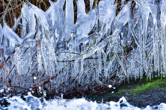 Eiszapfen an einem Ast im württembergischen Allgäu: Gefallene Temperaturen bringen Schnee und Frost mit sich.