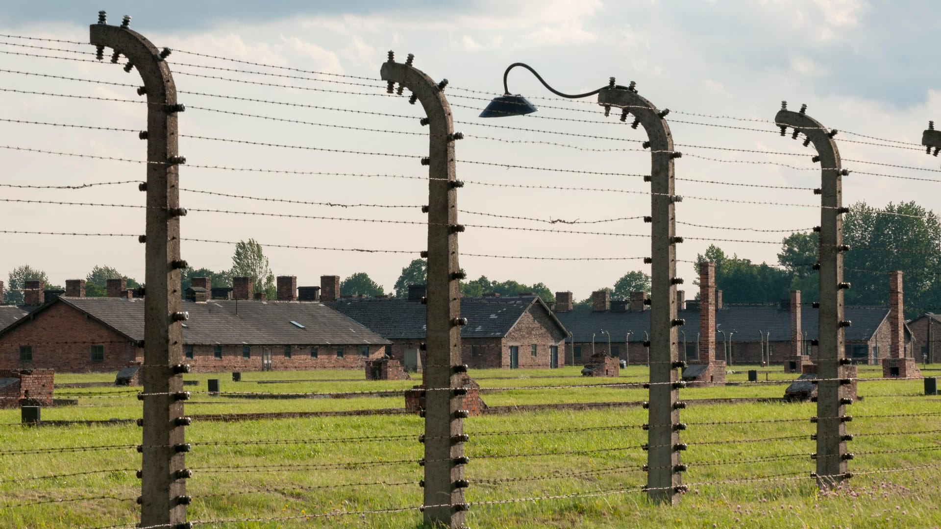 Gelände des früheren Konzentrationslagers Auschwitz-Birkenau: Rachel Hanan sagt, dass sich die Natur dort im Sommer 1944 zurückgezogen hätte.