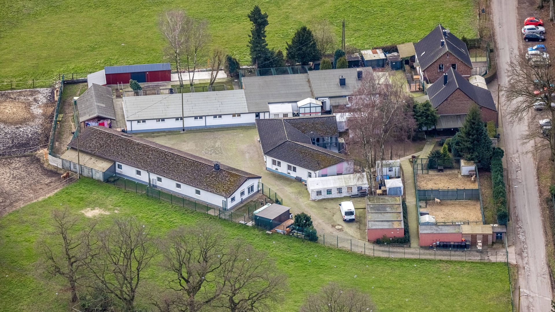 Das Tierheim der Tierfreunde Bottrop (Archivbild): Die Helfer dort können nicht fassen. Das Tierheim der Tierfreunde Bottrop (Archivbild): Die Helfer dort können nicht fassen.