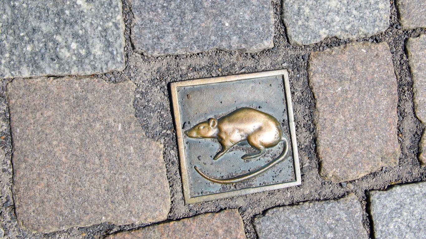 Ein sogenannter Rattenstein in Hameln (Archivbild): In Niedersachsen führen viele Markierungen zu Sehenswürdigkeiten.