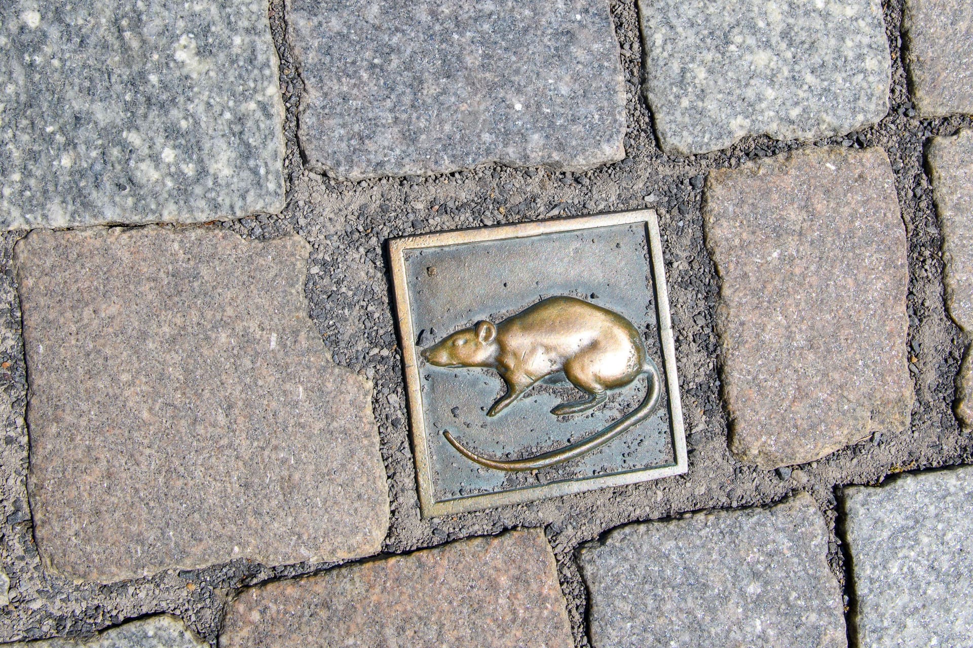 Ein sogenannter Rattenstein in Hameln (Archivbild): In Niedersachsen führen viele Markierungen zu Sehenswürdigkeiten.