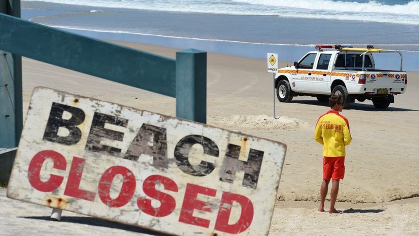 Großes "Beach Closed"-Schild am Strand: In den Gewässern von Australien tummeln sich drei verschiedene Arten von Hammerhaien.