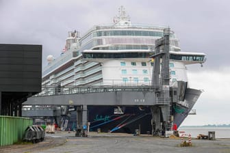 Ein Kreuzfahrtschiff im Hafen von Bremerhaven (Symbolfoto): Bei den Unfällen herrschte heftiger Seegang.