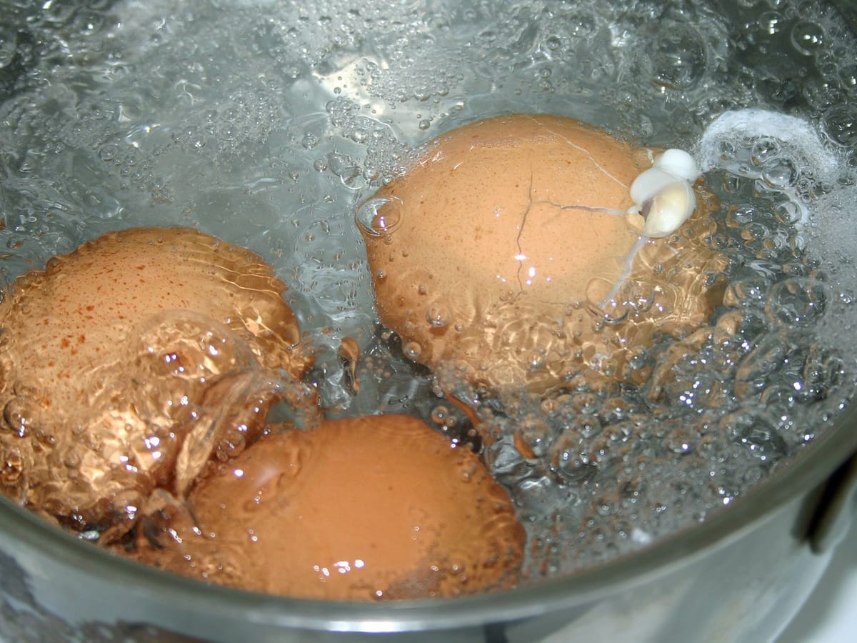 Kann man beim Kochen geplatzte Eier noch essen?