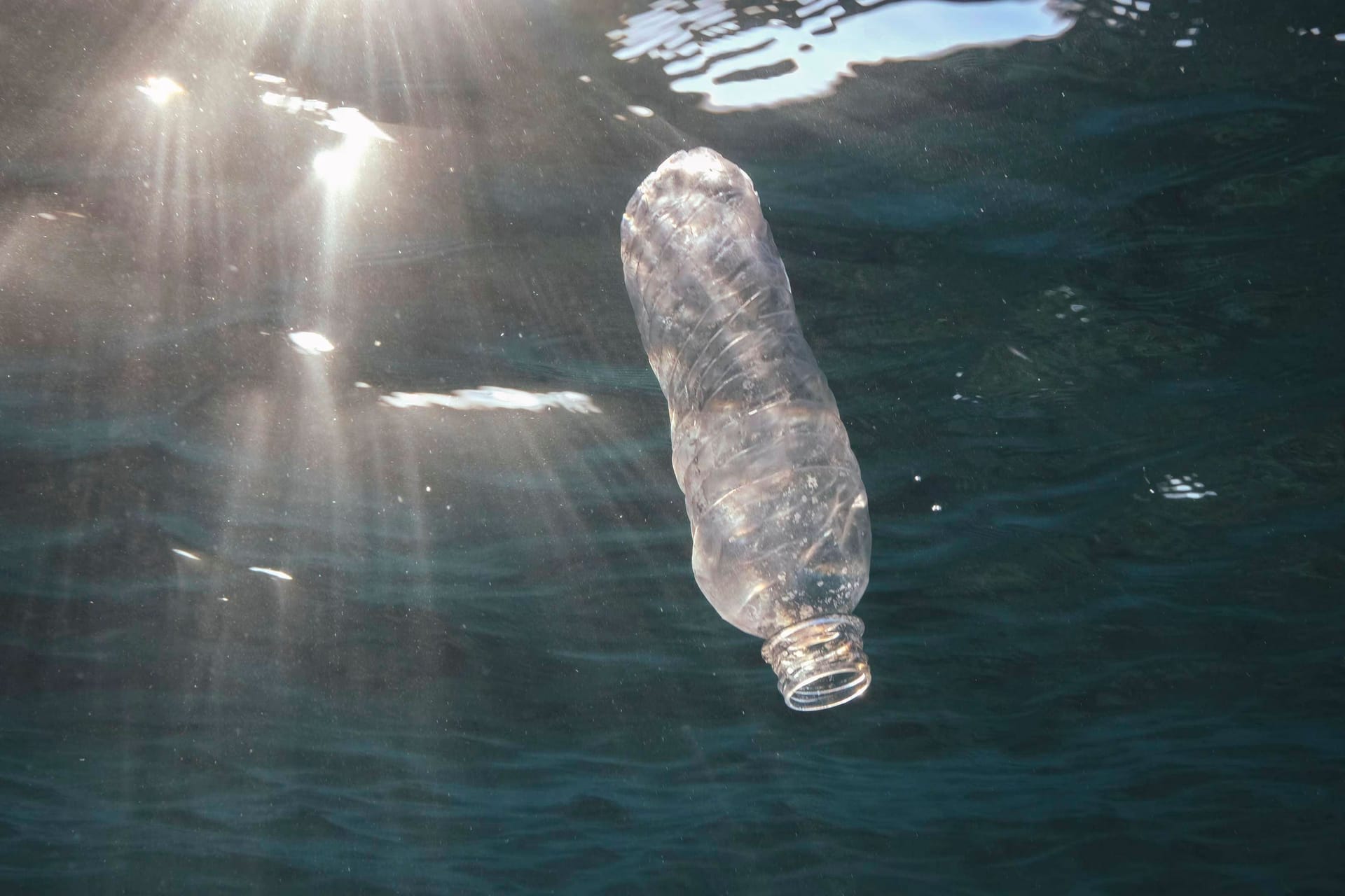 Plastikflasche im Wasser (Symbolbild): Auch umweltbewusste Nationen tragen zur Verschmutzung bei.