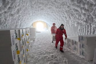 Zehn Meter unter der Erde lagern die Forscher Eiskern – bei Minus 50 Grad Celsius.