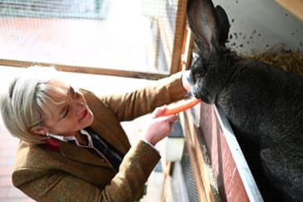Gewinner unter sich: Sabine Eggerking, beste Kaninchenzüchterin Deutschlands und ihr Kaninchen-Bock Kelly, Bundessieger bei den deutschen Riesenkaninchen.