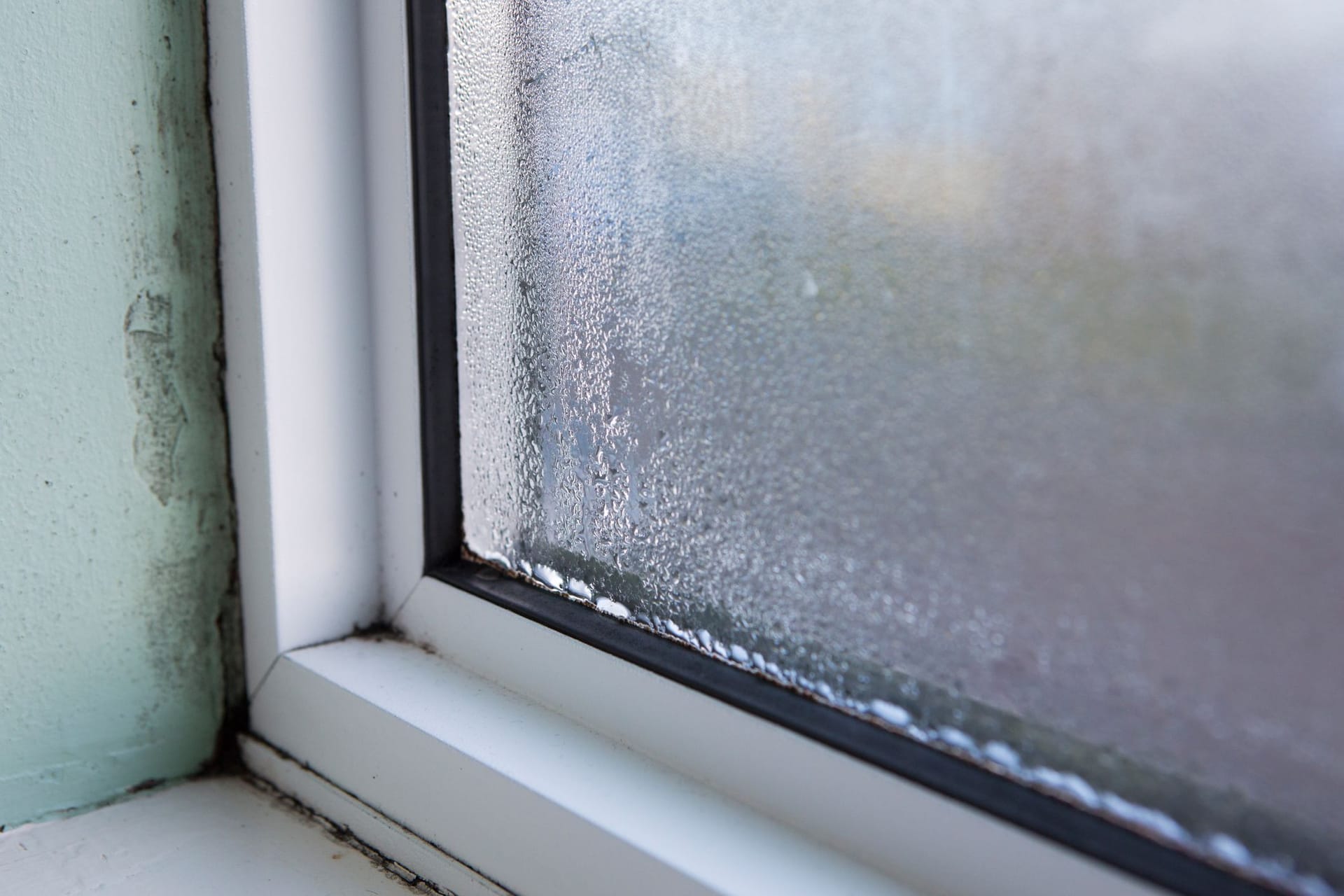 Schimmel am Fenster: Regelmäßiges Lüften ist das A und O, um Schimmel vorzubeugen.