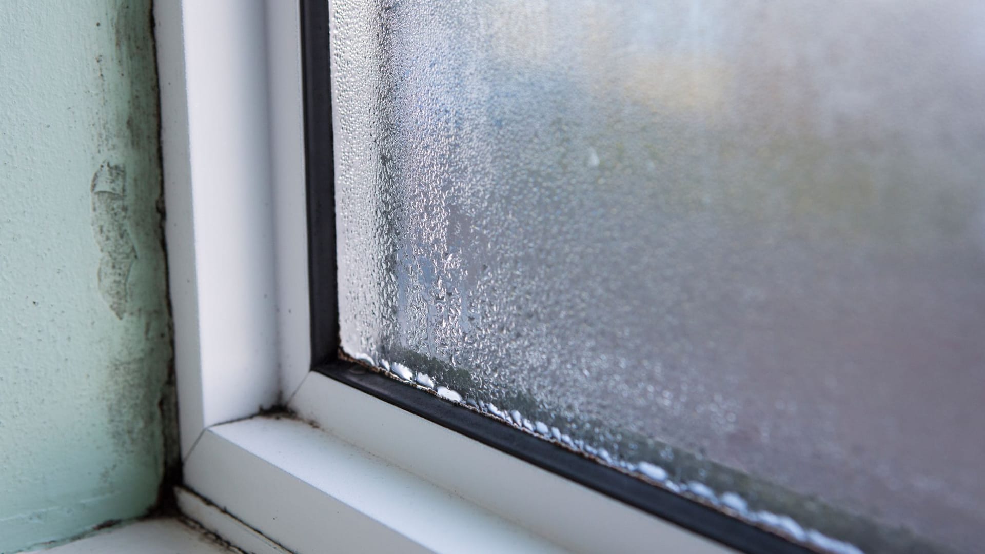 Schimmel am Fenster: Regelmäßiges Lüften ist das A und O, um Schimmel vorzubeugen.