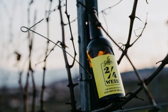 Wein in der Bierflasche: Ein Winzerbetrieb in der Pfalz stellt um auf Mehrweg und füllt in die 0,5-Liter-Flaschen ab.