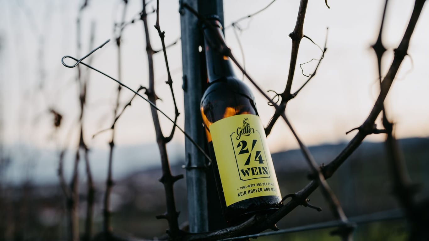 Wein in der Bierflasche: Ein Winzerbetrieb in der Pfalz stellt um auf Mehrweg und füllt in die 0,5-Liter-Flaschen ab.