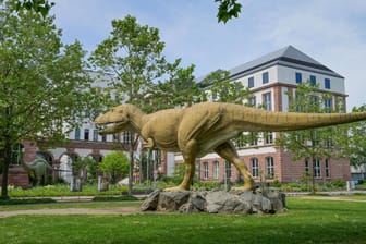 Tyrannosaurus vor dem Senckenberg in Frankfurt am Main, Hessen, Deutschland