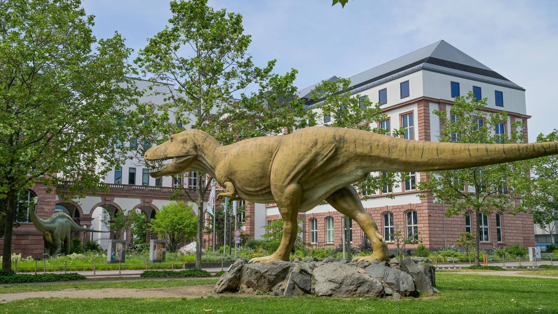 Tyrannosaurus vor dem Senckenberg in Frankfurt am Main, Hessen, Deutschland