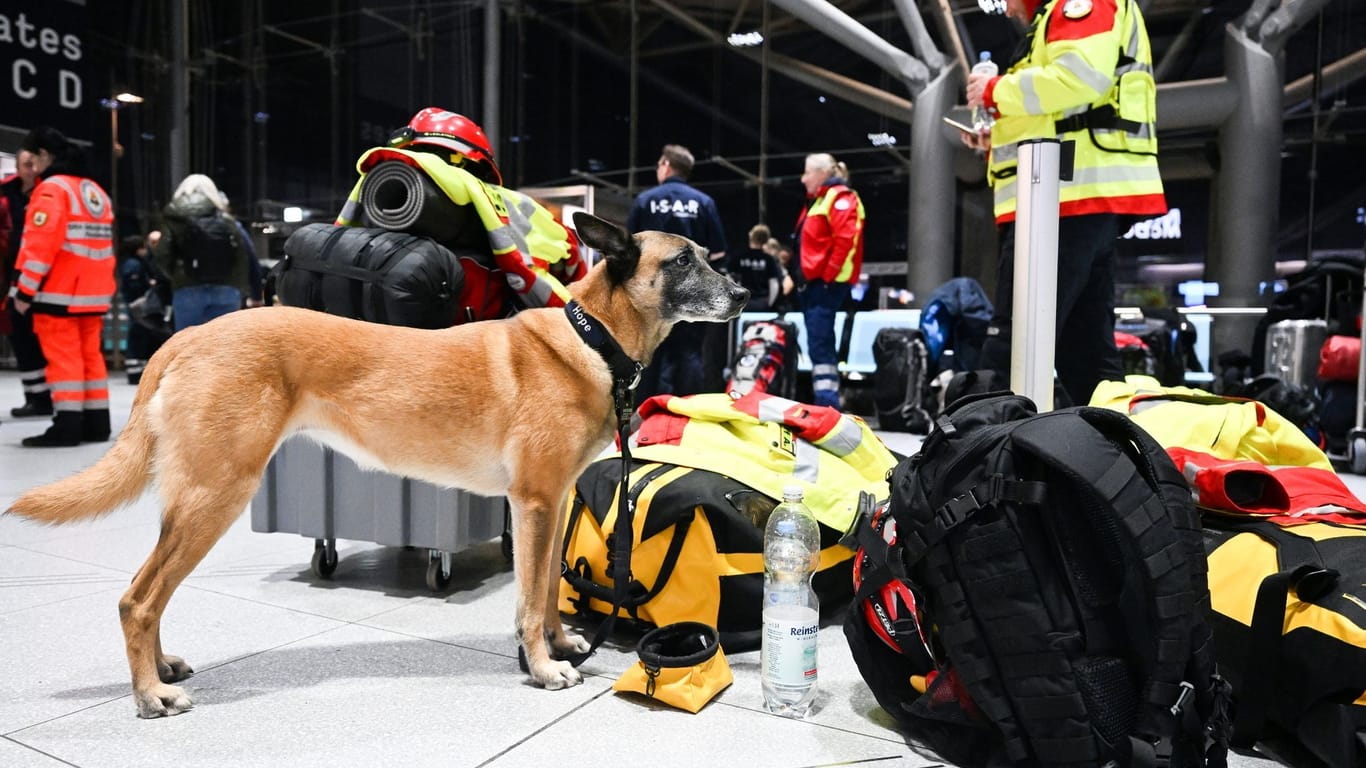 Rettungshund und Rettungskräfte