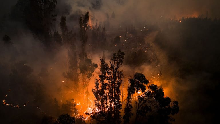 Waldbrände in Chile