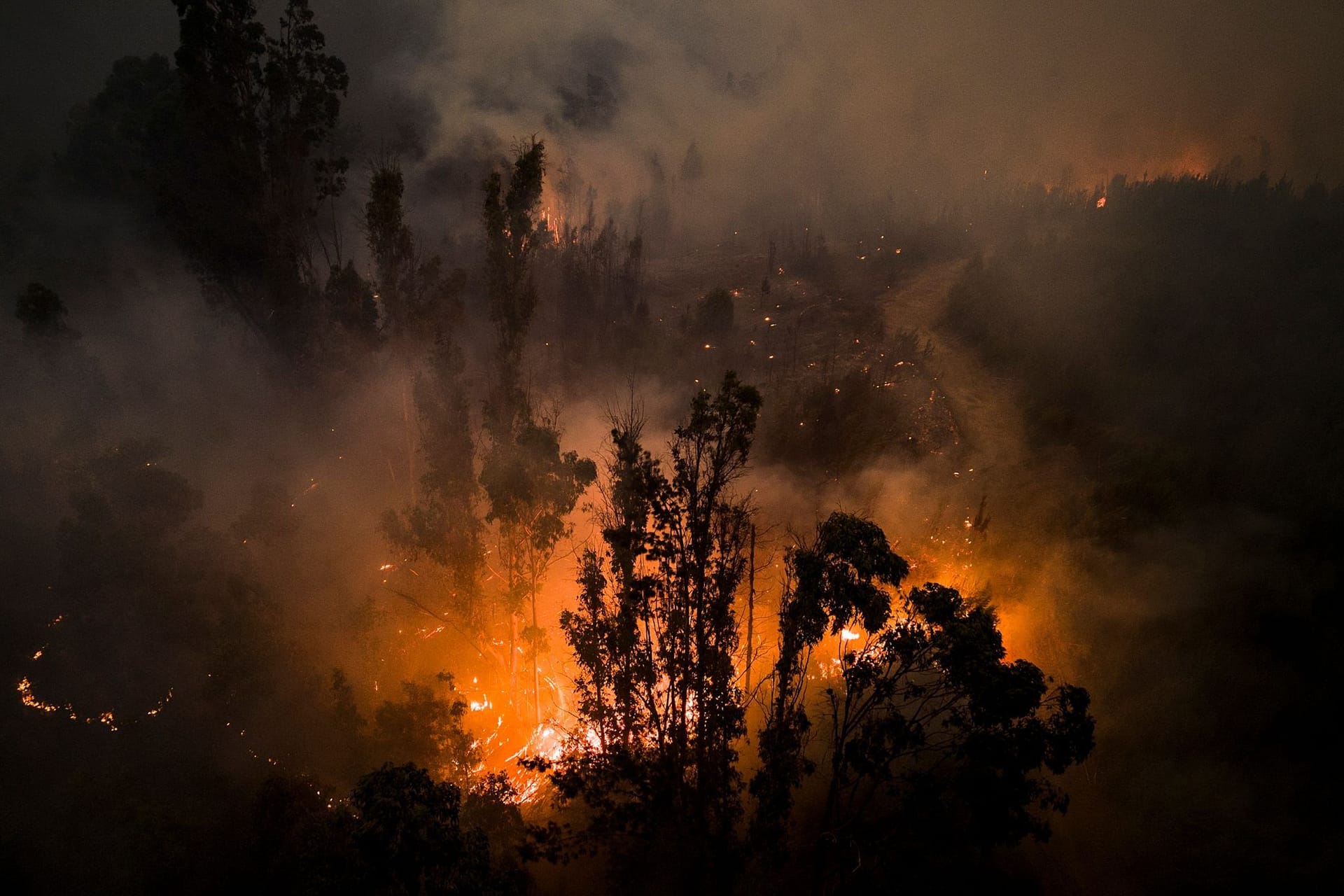 Waldbrände in Chile