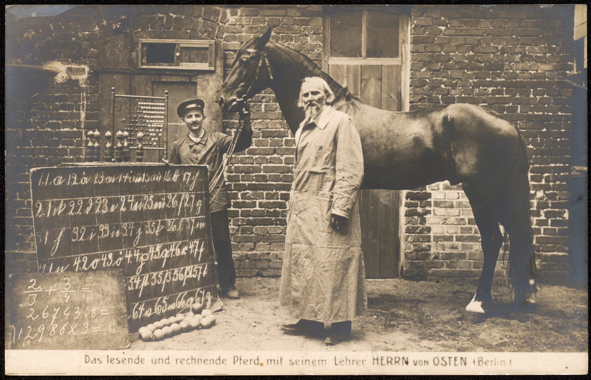 1904: Das klügste Pferd der Welt