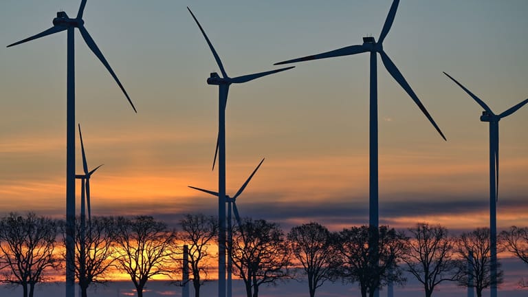 Windenergiepark in Brandenburg (Archiv): Der Ausbau habe laut den Grünen "absolute Priorität" für die Energiewende.