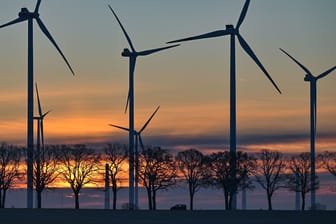 Windenergiepark in Brandenburg (Archiv): Der Ausbau habe laut den Grünen "absolute Priorität" für die Energiewende.