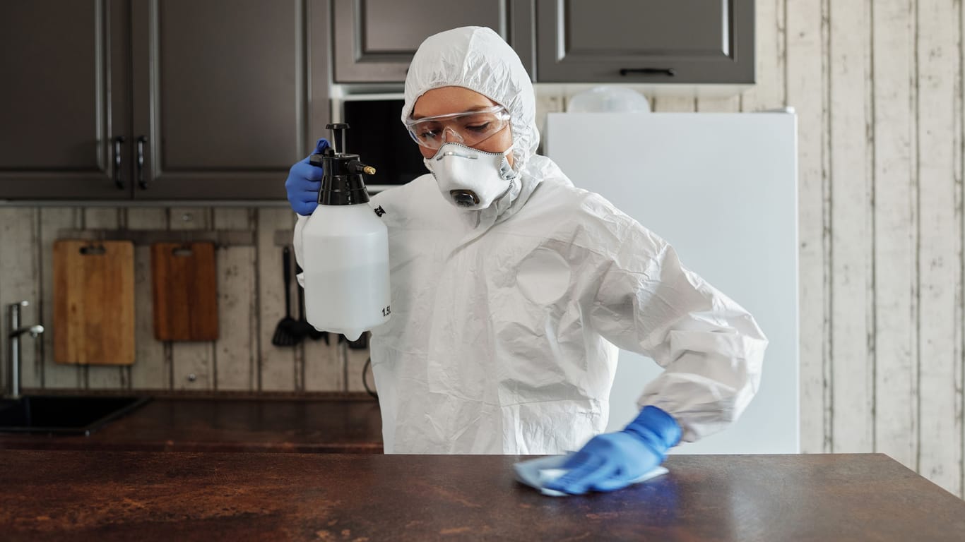 Remove mold from wood: Mold in living spaces should be removed immediately as it is harmful to health.