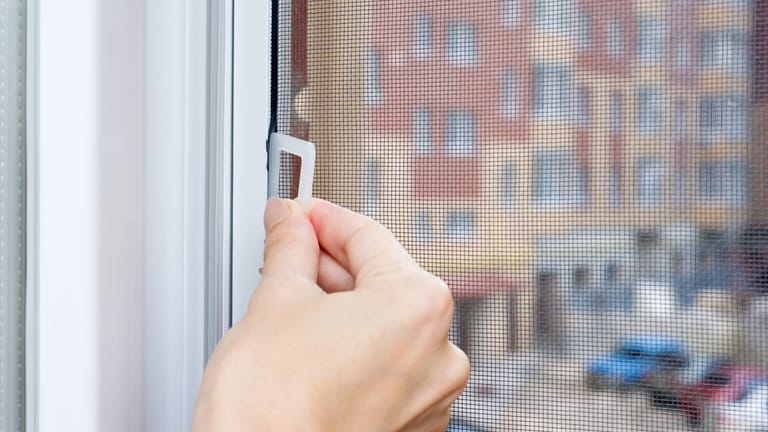 Trauermücken: Besonders in den Sommermonaten gelangen die Insekten über das Fenster in die Wohnung. Hier kann ein Insektennetz helfen.