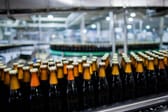 Brauerei-Sterben: Diese Marken sind betroffen