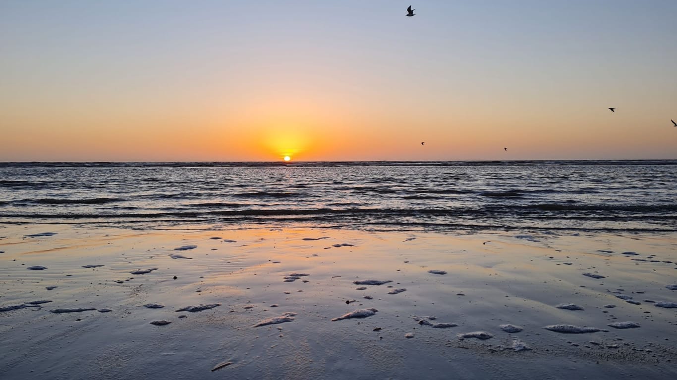 Sonnenuntergang am Strand (Archivbild): Auch auf den Ostfriesischen Inseln dürfte es am Wochenende voll werden.