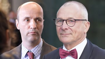 Pädophilie-Vorwurf gegen Volker Beck: Nicolaus Fest (AfD) verliert ...