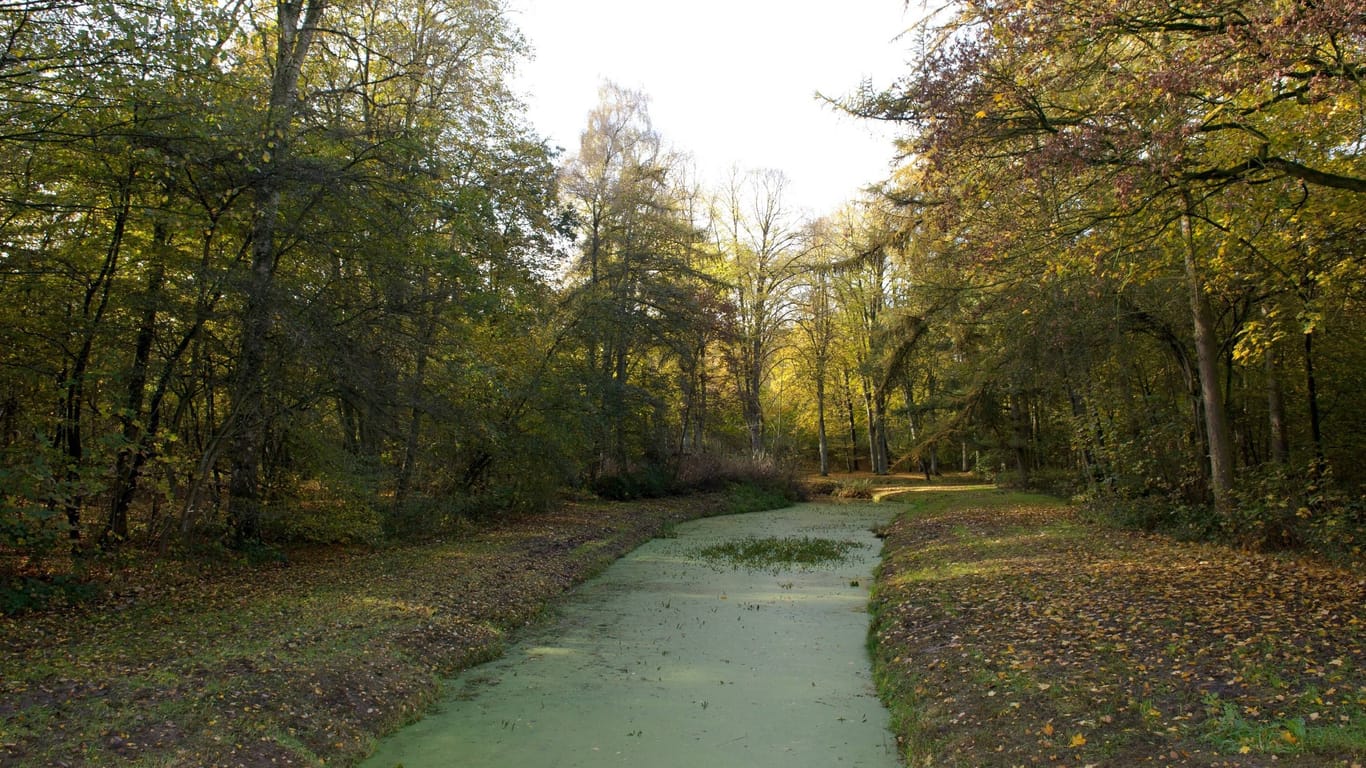Bürgerpark in Bremen (Archivfoto): Der Prozess gegen den mutmaßlichen Täter beginnt Anfang März.