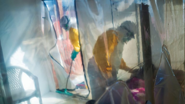 Ebola-Ausbruch im Kongo: Das Virus kann nach Angaben des Robert Koch-Instituts (RKI) beim Kontakt mit bestimmten Tieren oder Tierprodukten auf Menschen übertragen werden.