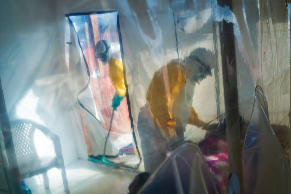 Ebola-Ausbruch im Kongo: Das Virus kann nach Angaben des Robert Koch-Instituts (RKI) beim Kontakt mit bestimmten Tieren oder Tierprodukten auf Menschen übertragen werden.