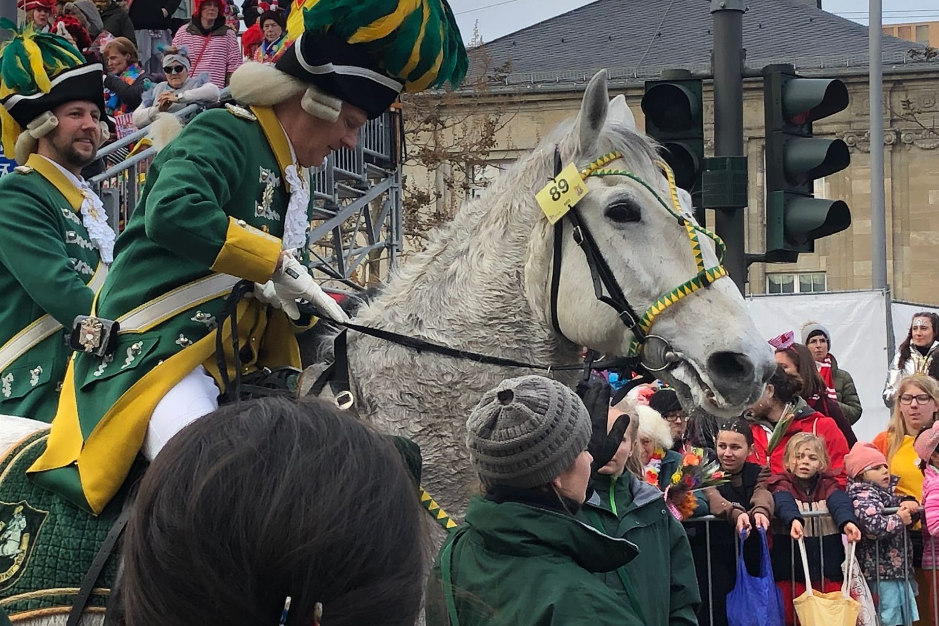 Pferd Sam beim Rosenmontagszug: Das Verhalten des Tieres heizte die Debatte um ein Pferde-Verbot im Karneval erneut an.