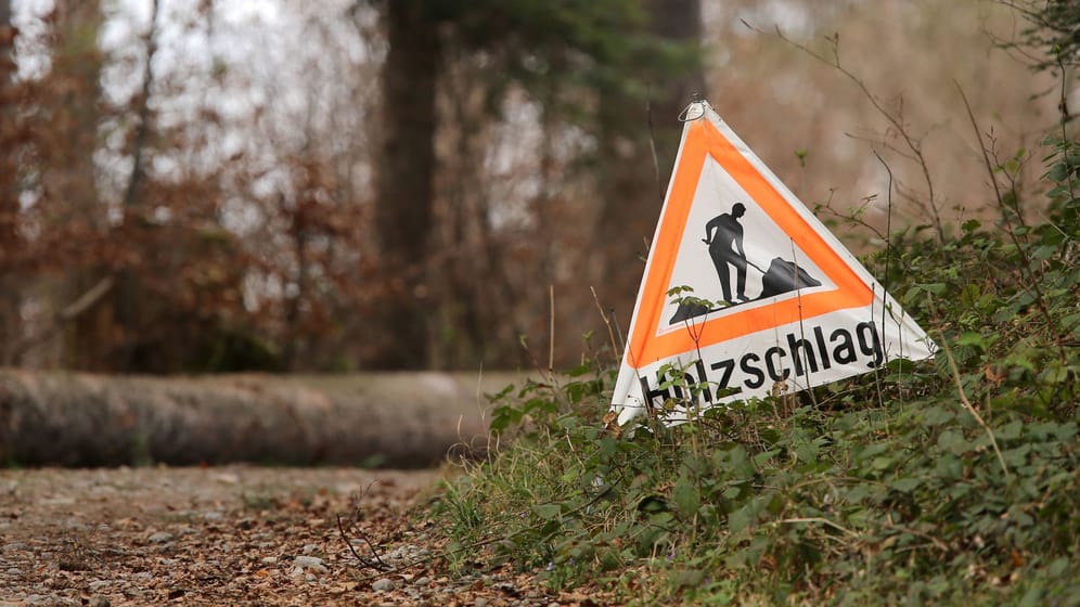 Warnhinweis auf Holzschlag im Wald (Symbolbild): In der Nähe von Hamburg ist ein 60 Jahre alter Mann gestorben.