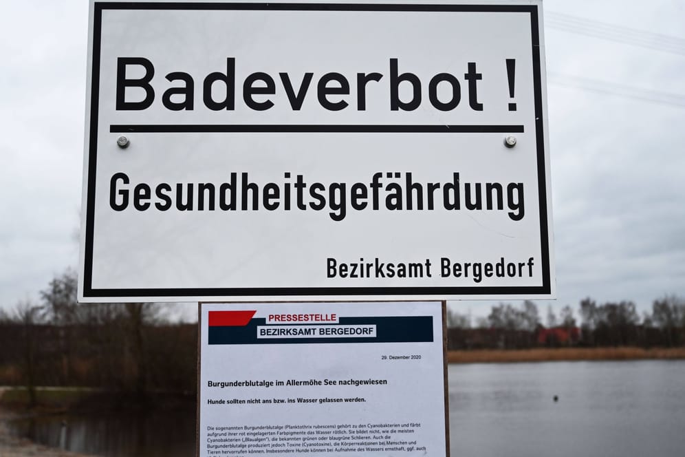 Schild mit Aufschrift "Badeverbot! Gesundheitsgefährdung" am Allermöher See (Archivbild): Es besteht absolutes Badeverbot für Menschen und Tiere, insbesondere Hunde.