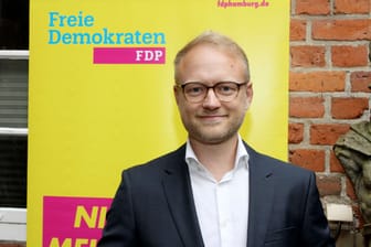 FDP-Chef Kruse will mit seiner Partei zurück in die Hamburger Bürgerschaft.