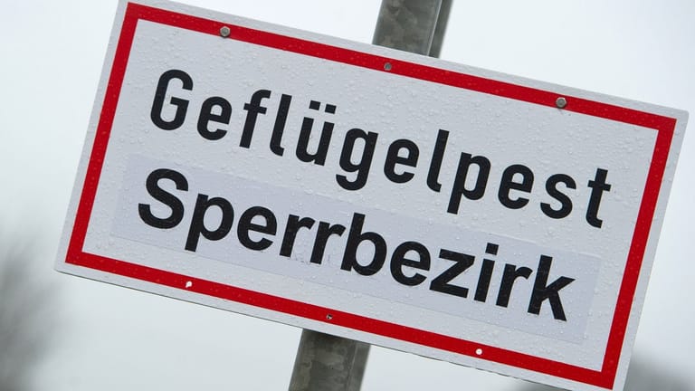 Ein Schild mit der Aufschrift "Geflügelpest Sperrbezirk" (Symbolfoto): Als Konsequenz dürfen unter anderem keine Erzeugnisse noch Futtermittel verkauft werden.