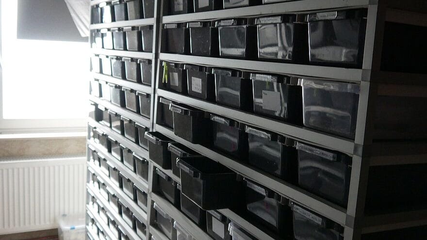 Diverse Plastikboxen: In diesen mussten es die Lebewesen aushalten.