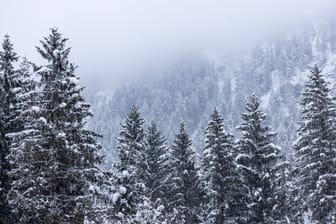 Verschneite Landschaft in den Allgäuer Alpen (Archivbild): 80 Einsatzkräfte suchten nach einem Mann aus Sonthofen.